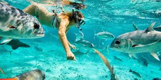 Ambergris Caye Snorkeling Tips in Belize - Types of Snorkels and Fins to Use