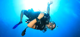 Carolina Rig Guide: Everything You Need To Know