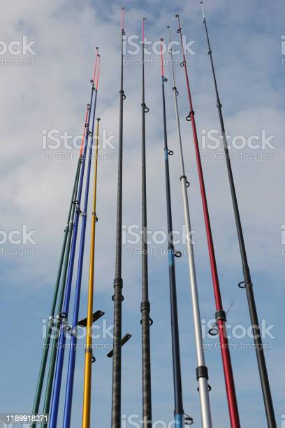 Different Fishing Rod Types and Uses Explained