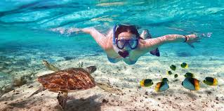 Best Snorkeling in Cozumel