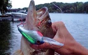 Do Glow in the Dark Lures work well for fishing?