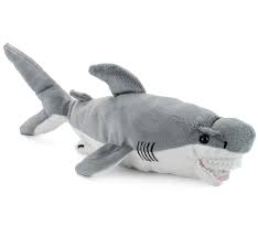 How To Adopt A Great White Shark