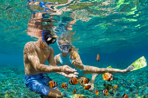 Is a Snorkel Necessary for Diving? Pros & Cons Explained