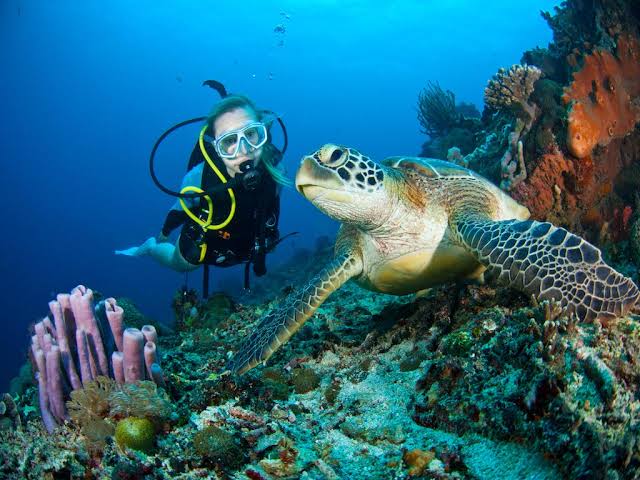 How to scuba drive in eco-friendly environmental benefits