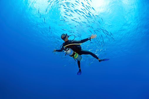 Why do Scuba Divers Dive Backwards? Basics You Need To Know for Save Diving