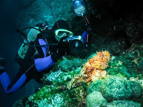 Why Do You Need A Strobe Dive Light? Underwater Flashlight Tips