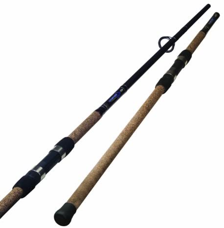 7 Best Surf Fishing Rods in 2026