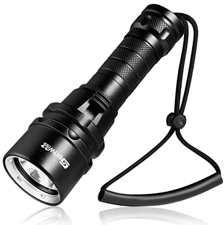 Best Dive Lights in 2026