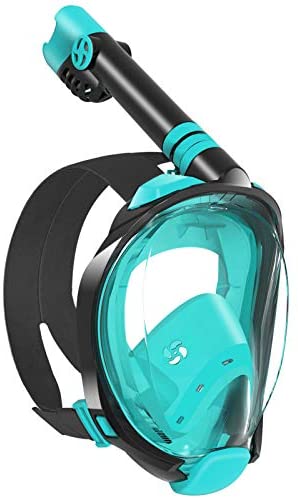 Best Full Face Snorkeling Mask in 2026
